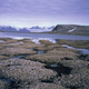 Image for article titled What the Hell is happening to the Arctic Sea Ice?